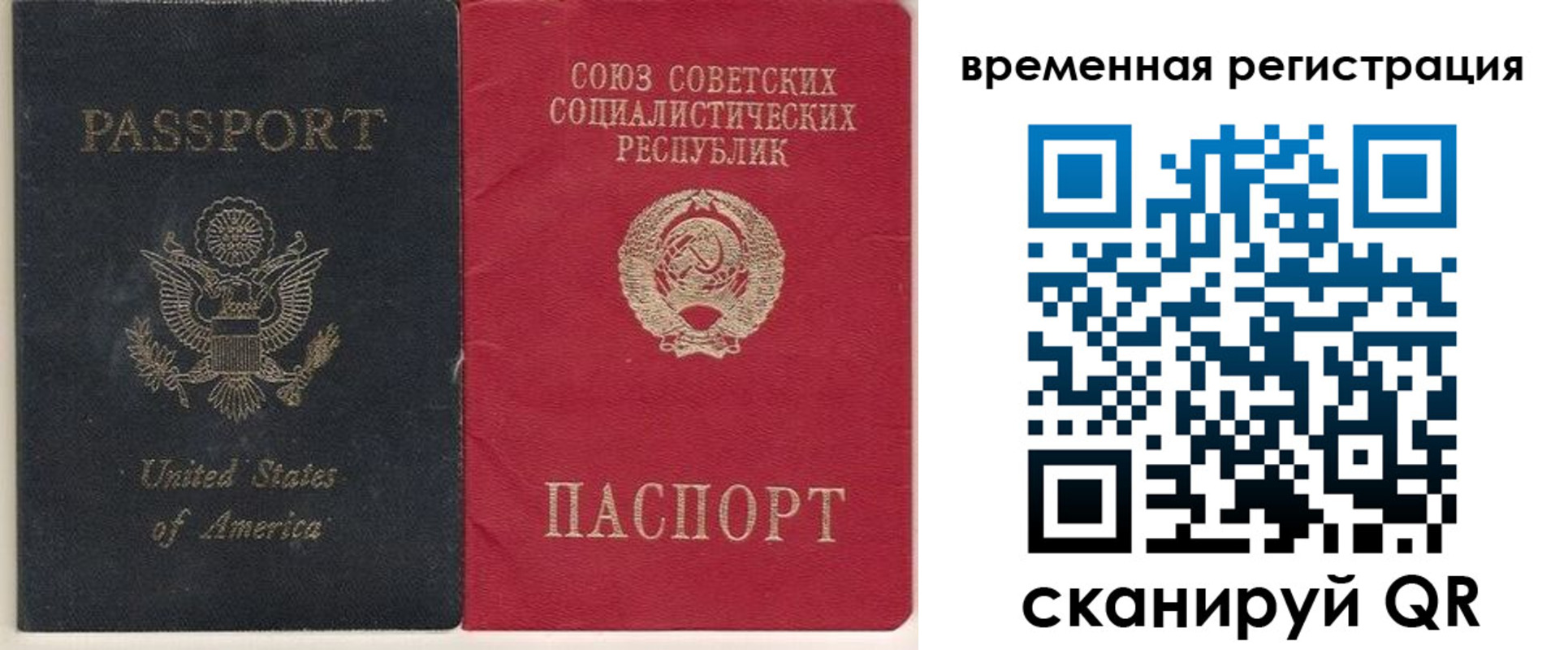 прописка законно в Звенигово